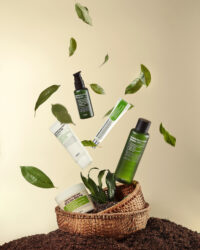 푸리토 센텔라 제품들이 공중에 떠 있는 모습으로 구성된 이미지 Purito's Centella Green Level skincare products appear to float with swirling green leaves