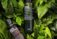 Purito natural skincare scattered styling photo