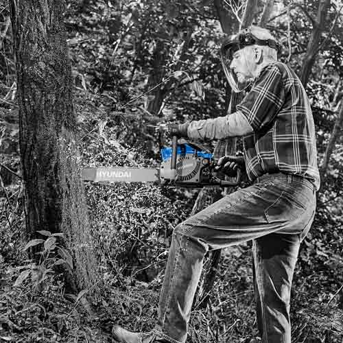 Man Cutting Tree with Chainsaw – Action Scene