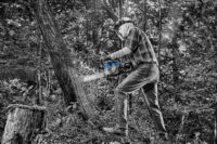 전기톱으로 나무를 자르는 남성 모델의 생생한 작업 장면 Photo of a man cutting a tree with a chainsaw in mid-action