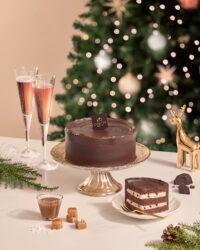 Chocolate layer cake with holiday ornaments and champagne Godiva cake photography by Studio AHNTONE