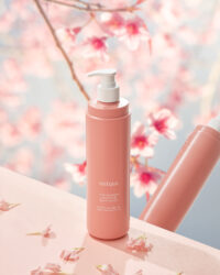 벚꽃 배경 위에 오제끄 피치 플라워 바디로션이 놓여 있는 제품 사진 Product shot of Oseque Peach Flower Body Lotion placed in front of cherry blossom backdrop