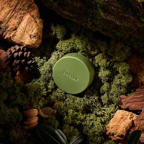 오제끄 초록색 천연비누가 숲을 연상시키는 이끼와 나무 배경에 놓여 있음 A green Oseque natural soap placed on deep moss and wood textures, evoking a forest setting