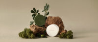 초록과 흰색의 오제끄 천연비누가 자연 요소들과 함께 배치된 제품컷 Two natural soaps from Oseque arranged with moss, leaves, and stone elements in a warm-toned setting