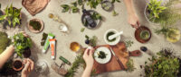 천연 원료와 푸리토 제품이 함께 어우러진 상황 연출 이미지 Top-view flatlay showcasing Purito products with herbal and botanical elements