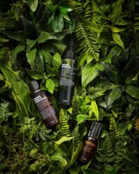 푸리토 클렌징 오일, 에센스, 세럼이 울창한 잎 배경에 놓인 이미지 Purito cleansing oil, essence, and serum placed against a lush green leaf background