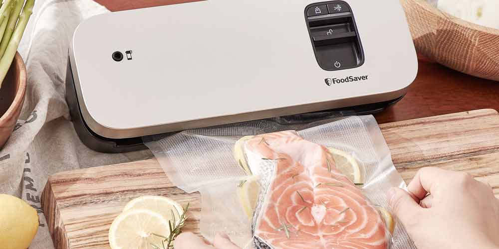 FoodSaver Vacuum Sealer with Salmon