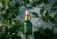 Humedical Serum Shoot – Ti72 Skincare Photography Portfolio